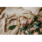 T-TOMI Teether Forest